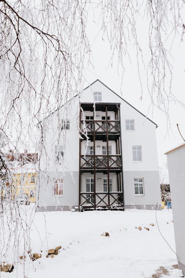 Ferienwohnung U Zlate Brizy Krusne Hory - Erzgebirge Horní Blatná Exterior foto