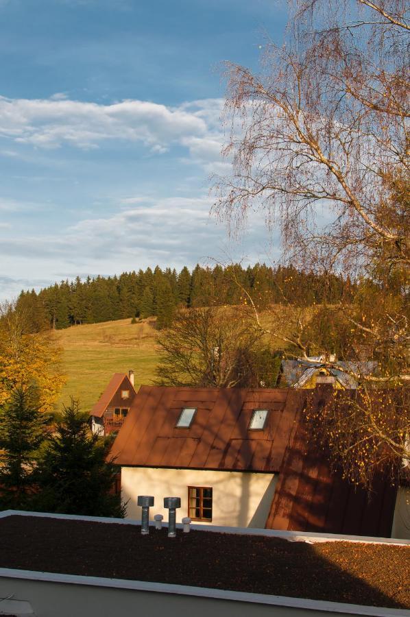 Ferienwohnung U Zlate Brizy Krusne Hory - Erzgebirge Horní Blatná Exterior foto