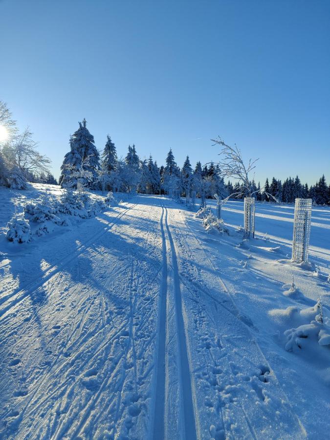Ferienwohnung U Zlate Brizy Krusne Hory - Erzgebirge Horní Blatná Exterior foto