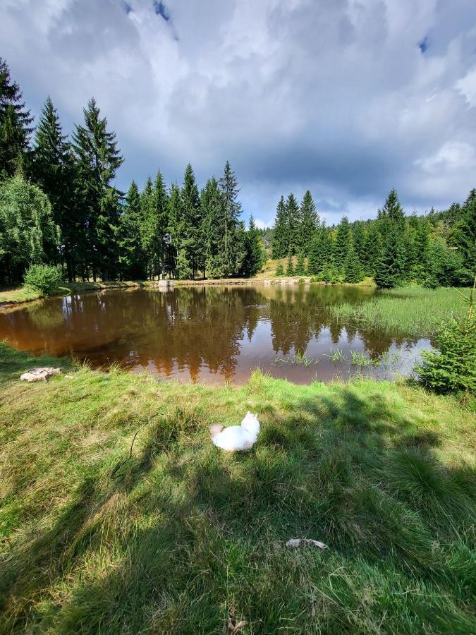 Ferienwohnung U Zlate Brizy Krusne Hory - Erzgebirge Horní Blatná Exterior foto